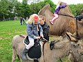 IMG_1522