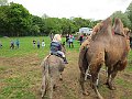 IMG_1524