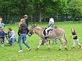 IMG_1525