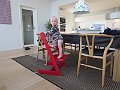 IMG_1269