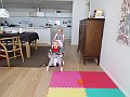 IMG_1271