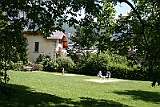 IMG_1951