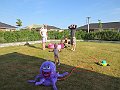 IMG_2351