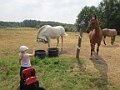 28 juli - Togtur i Hedeland