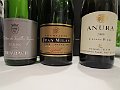 IMG_2525