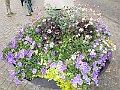 IMG_2598