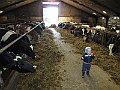 IMG_2930