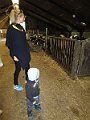 IMG_2933