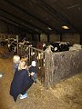 IMG_2934