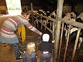 IMG_2940