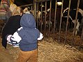 IMG_2941