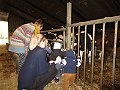 IMG_2942