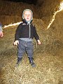IMG_2950