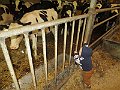 IMG_2959