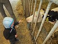 IMG_2960