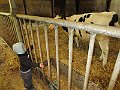 IMG_2961
