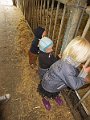IMG_2962