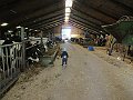 IMG_2965