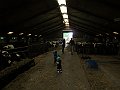 IMG_3024