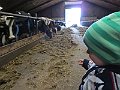 IMG_3028