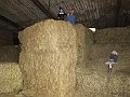 IMG_3049