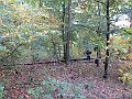IMG_3260