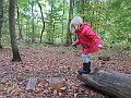 IMG_3264