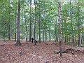 IMG_3266