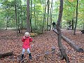 IMG_3268