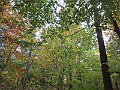 IMG_3271
