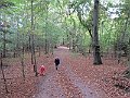 IMG_3274