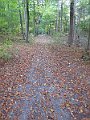 IMG_3277