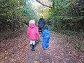 IMG_3281
