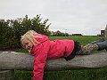 IMG_3135