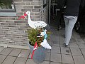 IMG_3147