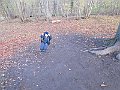 IMG_3384