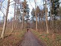 IMG_3391