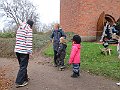 IMG_3421