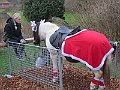 IMG_3438
