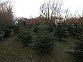 IMG_3462