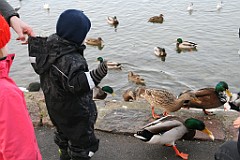 IMG_2993