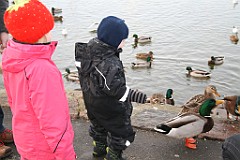 IMG_2994
