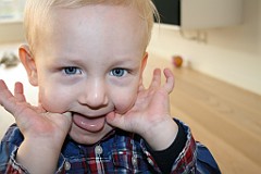 IMG_3226