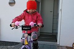 IMG_3616