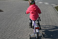 IMG_3623