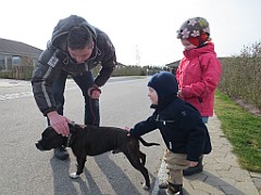 IMG_3767