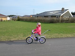 IMG_3768