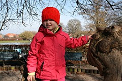 IMG_3470