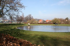 IMG_3472