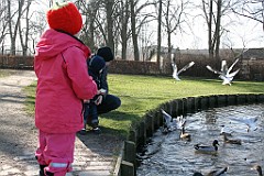 IMG_3473